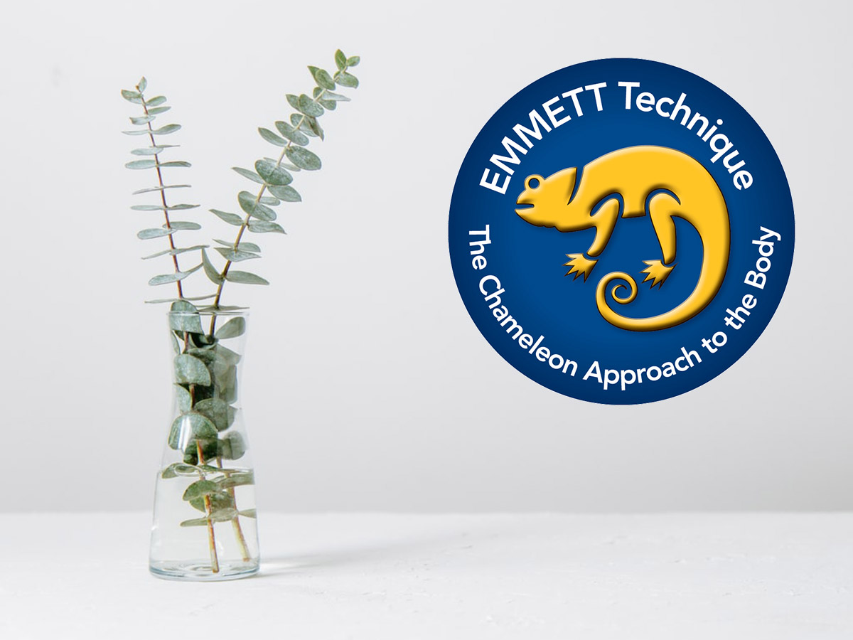 Emmett Technique Körperzyt Massagen